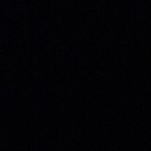 Meet your Posher, Danaisha